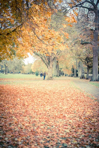 Güneşli bir günde bir parkta gülümseyen mutlu yaşlı çift — Stok fotoğraf