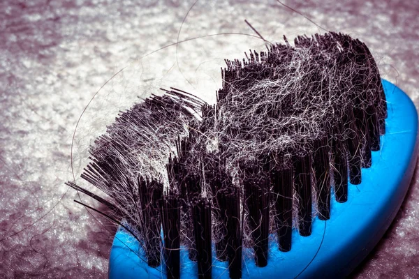 Hair of a dog on a blue brush isolated on carpet in the house — Stock Photo, Image