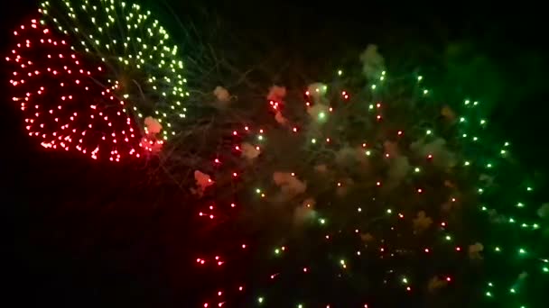 Fogos de artifício no céu — Vídeo de Stock