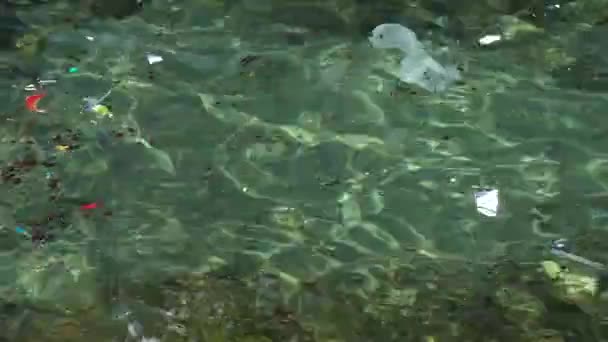 지중해에 있는 쓰레기. 환경 오염. 동물들에게 해를 끼친다. 버려진 쓰레기 로인해 파도가해 안으로 밀려왔다. 클로즈업 — 비디오