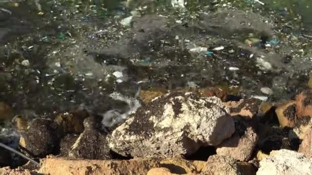 Akdeniz 'deki çöpler. Çevre kirliliği. Hayvanlara zarar vermek. Çöpe atılan çöpler dalgaları kıyıya getirdi. Yakın plan. — Stok video