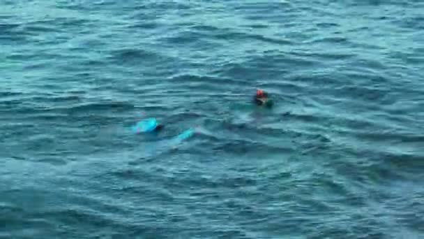 Buceador nada en el mar Mediterráneo. Un hombre nada en la superficie y mira bajo el agua — Vídeo de stock