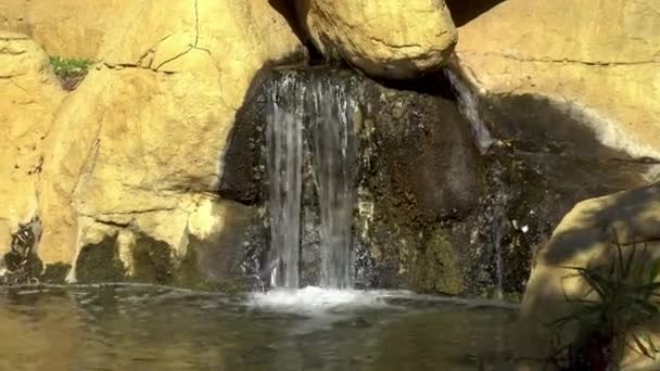 Una pequeña cascada fluye en un río — Vídeos de Stock