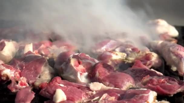 A carne vermelha fresca é grelhada na grelha. A carne suculenta crua frita-se no carvão vegetal. Fumo da fritura. Close-up — Vídeo de Stock