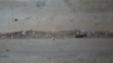 Silah sesi. Kol kalibresi 7.62 mm yavaşça yere düşüyor.
