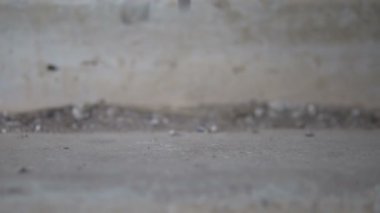 Tabanca atışı. Kol kalibresi 9mm yavaşça yere düşüyor.
