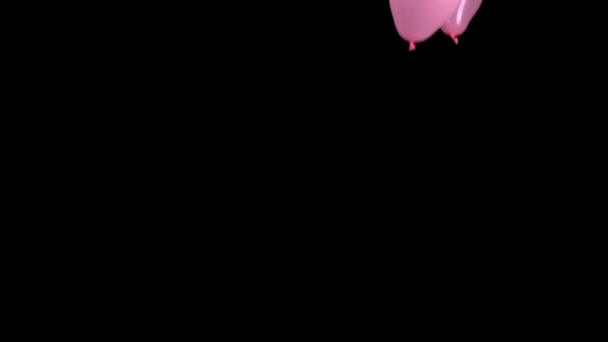 Festlig rosa ballonger faller på en svart bakgrund. Långsamma rörelser — Stockvideo