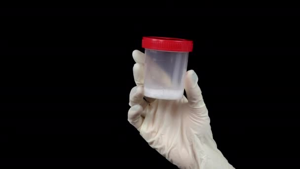 Сперма в тестовому банку крупним планом. Лікар тримає банку в рукавичці на чорному тлі . — стокове відео