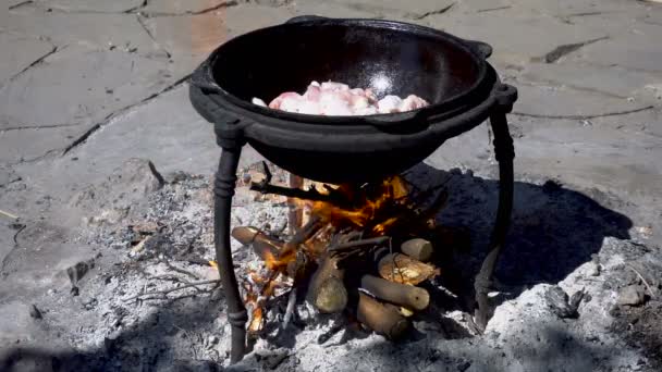 O frango frita-se em um caldeirão, sobre uma fogueira aberta — Vídeo de Stock