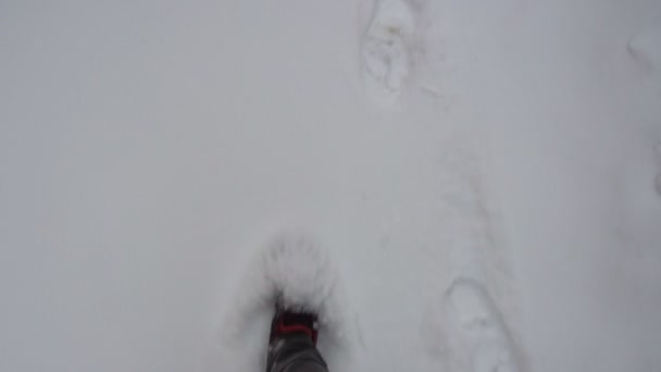 Ein Mann geht in Sommerturnschuhen durch den Schnee — Stockvideo