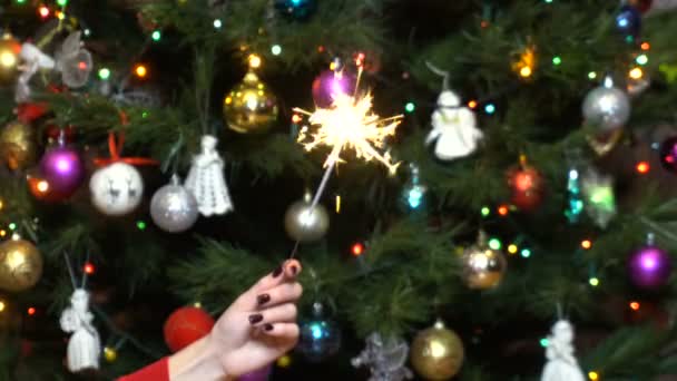 En flicka håller ett tomtebloss mot bakgrund av julgranen — Stockvideo