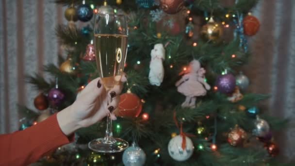 A glass of champagne on Christmas tree background — ストック動画