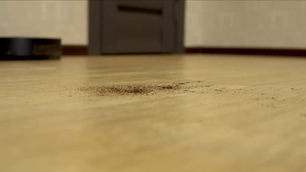 Робот-пилосос прибирає кімнату. Круглий пилосос автоматично обертається навколо будинку і очищає бруд — стокове відео