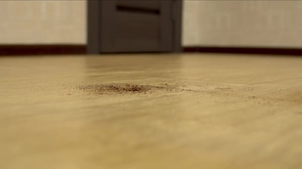 Робот-пилосос прибирає кімнату. Круглий пилосос автоматично обертається навколо будинку і очищає бруд — стокове відео