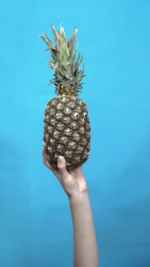 Bir kadının elinde ananas gözler. Yaklaş. Ananas mavi bir arka planda etrafına bakar. Dikey video.