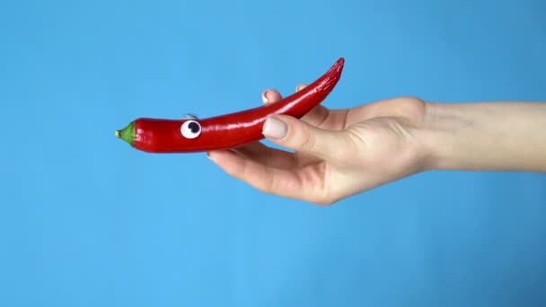 Chilli-Augen in einer Frauenhand aus nächster Nähe. Chilipfeffer sieht sich auf blauem Hintergrund um. Vertikales Video. — Stockvideo