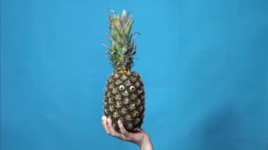 Kadın eli olan bir ananas. Ananas çerçevenin içine atlar ve mavi bir arkaplanda etrafına bakar. Kadın eli yakın çekim.