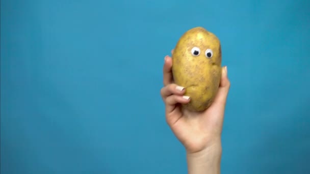 Pommes de terre avec les yeux dans une main de femme. Pommes de terre saute dans le cadre et regarde autour sur un fond bleu. Femme main gros plan . — Video