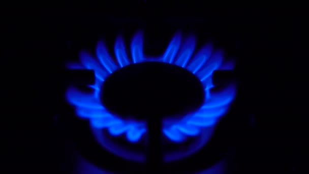 De gasbrander gaat aan in het donker. Kookwerk bij het huishoudgas. De vlam is blauw.. — Stockvideo