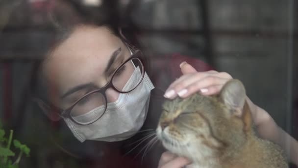 Maskeli genç bir kadın kediyi okşar. Evdeki karantinadaki kız pencerenin önünde duruyor ve İngiliz kedisini okşuyor. Camın arkasına bak.. — Stok video