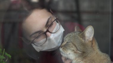 Maskeli genç bir kadın kediyi okşar. Evdeki karantinadaki kız pencerenin önünde duruyor ve İngiliz kedisini okşuyor. Camın arkasına bak..