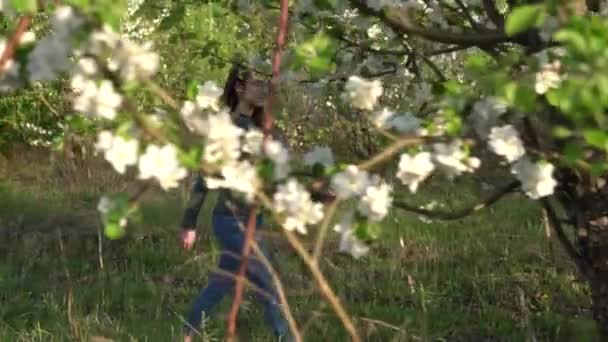 Mladá žena prochází rozkvetlým jablečným sadem. Pohled mezi stromy. — Stock video