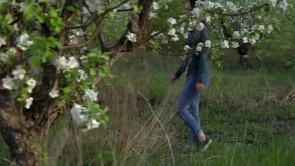 Une jeune femme marche dans un verger de pommiers en fleurs. Vue à travers les arbres.