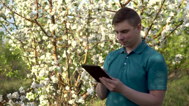 Giovane uomo in natura con una tavoletta in mano. Un uomo sta lavorando attraverso una tavoletta in piedi sullo sfondo di un albero in fiore. — Video Stock