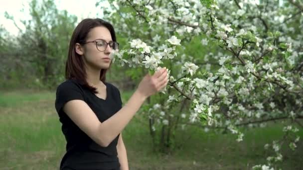 Eine junge Frau schnuppert an einem blühenden Baum. Mädchen im Apfelgarten. — Stockvideo