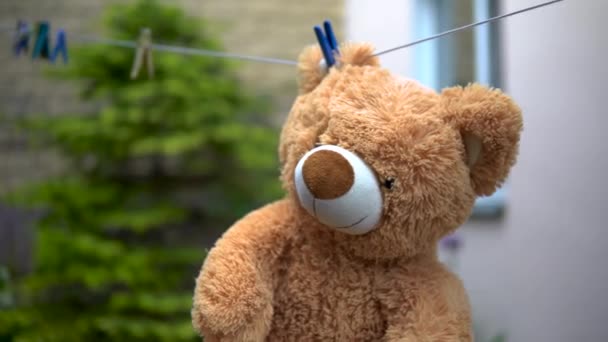 A teddy bear is dried on a rope. Bear is hanging outdoors. Clothespin on the ear. — Stock Video