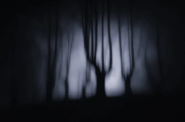 Paysage cauchemardesque avec forêt sombre et arbres effrayants la nuit — Photo