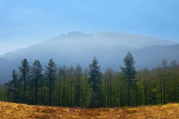 Gorbea montagne sur une journée ensoleillée — Photo