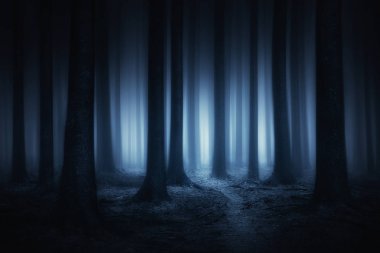 dark and scary forest at night clipart