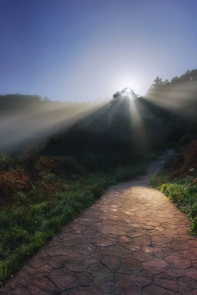 Weg mit Sonnenstrahlen — Stockfoto