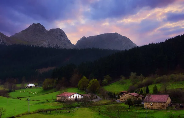 Paesaggio rurale in Axpe — Foto Stock