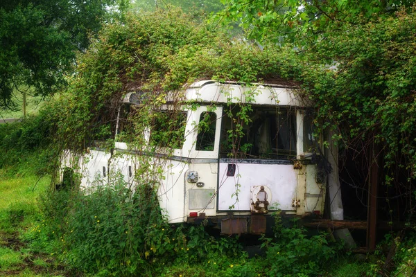 自然の中の放棄された車 — ストック写真
