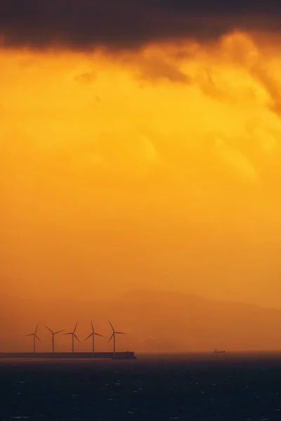 Sea wind turbines — Stock Photo, Image