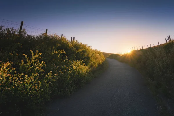 Pfad in der Landschaft bei Sonnenuntergang — Stockfoto