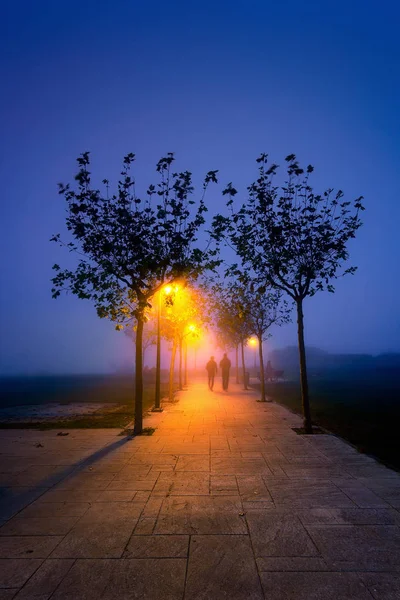 Pareja caminando en el camino por la noche iluminada con farolas —  Fotos de Stock