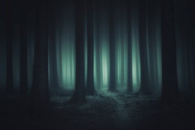 dark and scary forest clipart