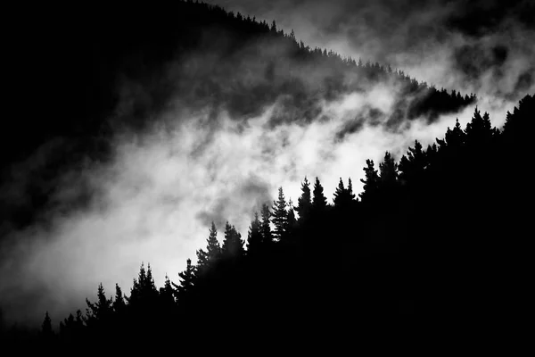 Nebbia nella valle della montagna — Foto Stock