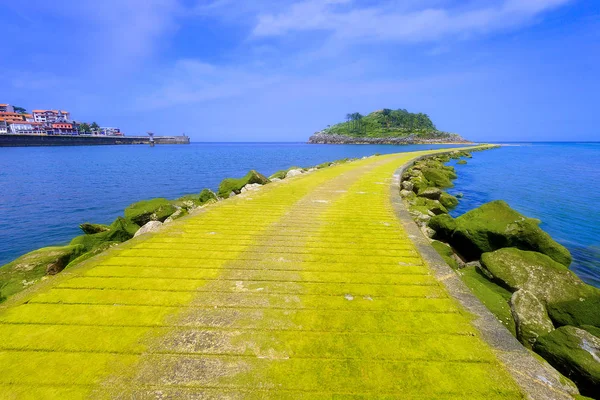 Lekeitio dorp met San Nicolas eiland en pier met mos — Stockfoto