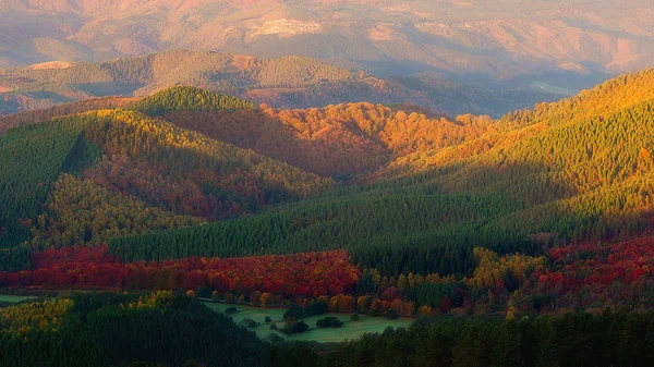 Vallei in het najaar met kleurrijke bomen — Stockfoto