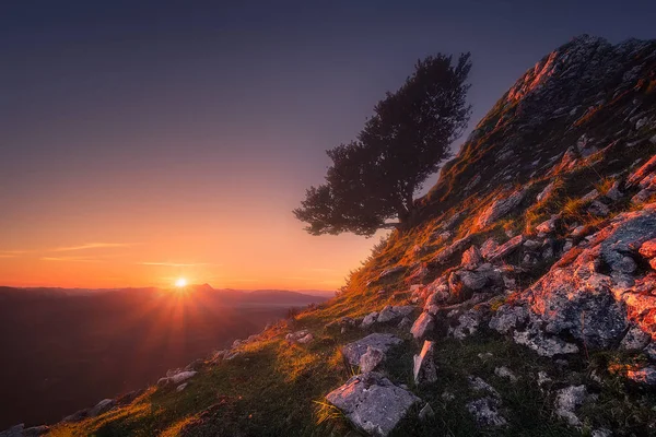 Árbol solitario al amanecer en Gorbea — Foto de Stock