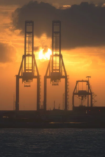 Cranes in harbor at the sunset — Stock Photo, Image