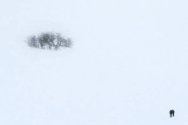 Zwei Personen gehen mit Assistenten auf Schnee — Stockfoto