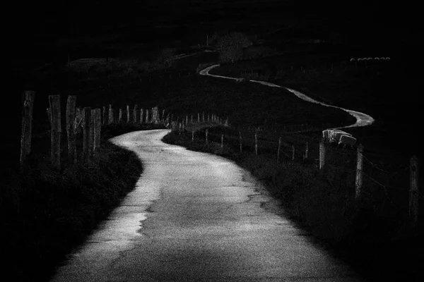 Strada di campagna sinuosa in bianco e nero. Rumore aggiunto — Foto Stock