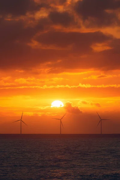 Wind turbines on sea — Stock Photo, Image