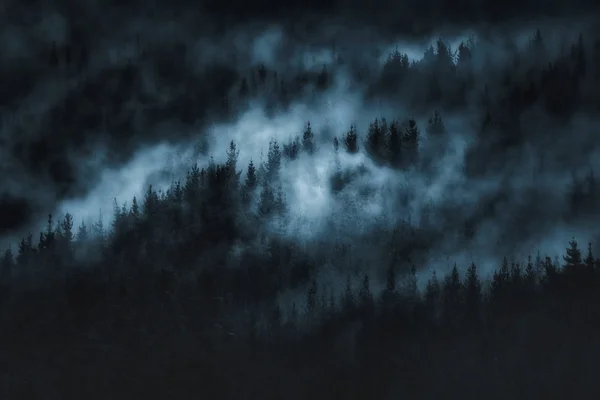 Foresta oscura e spaventosa con nebbia — Foto Stock