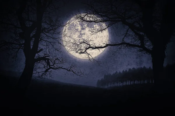 Skrämmande halloween landskap på natten med träd och fullmåne — Stockfoto